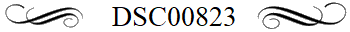 DSC00823